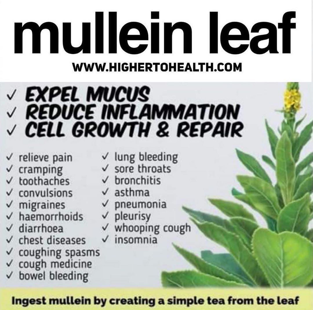 Muellin Leaf